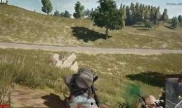 皱鸡在线观看,揭秘皱鸡世界的趣味之旅